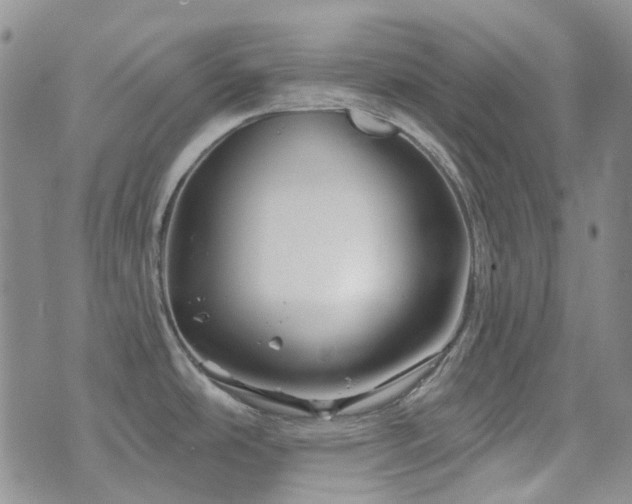 X0000071851486200606301325