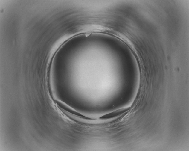 X0000071851488200606301325