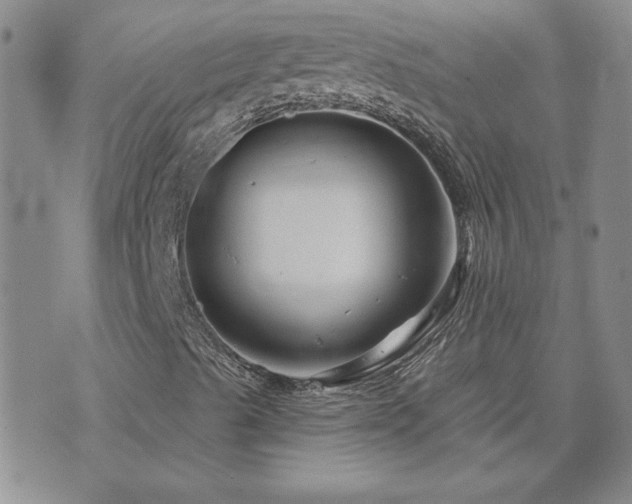 X0000071851489200606301324