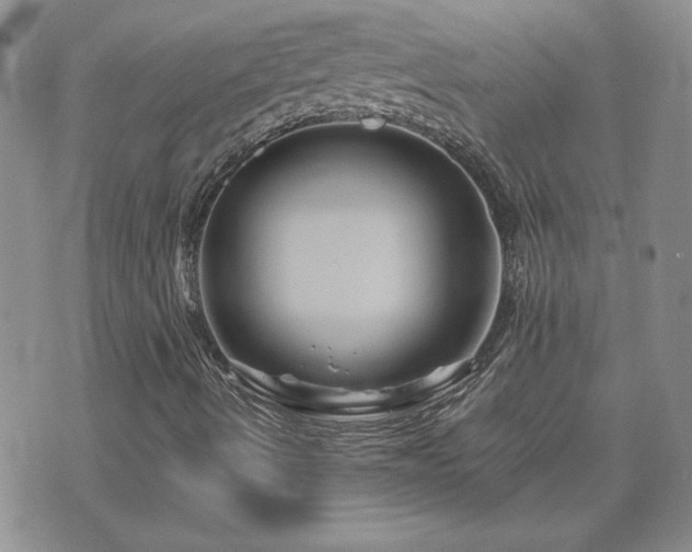 X0000071851490200606301324