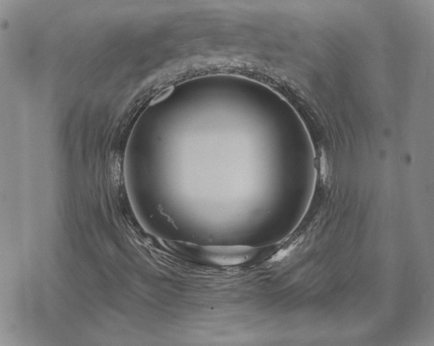 X0000071851492200606301324