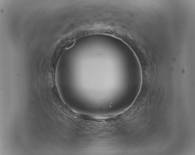 X0000071851493200606301324