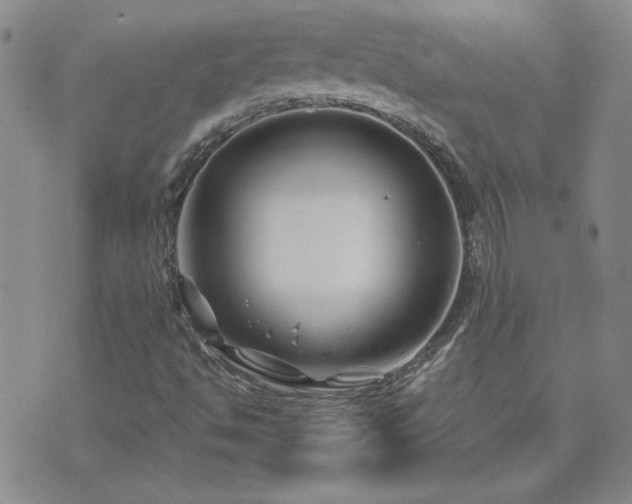 X0000071851494200606301324