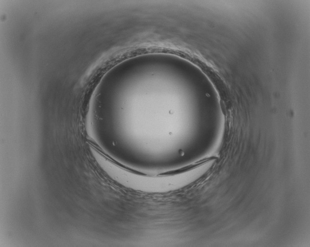 X0000071851495200606301324