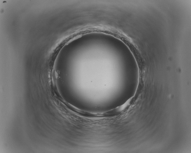 X0000071851496200606301324