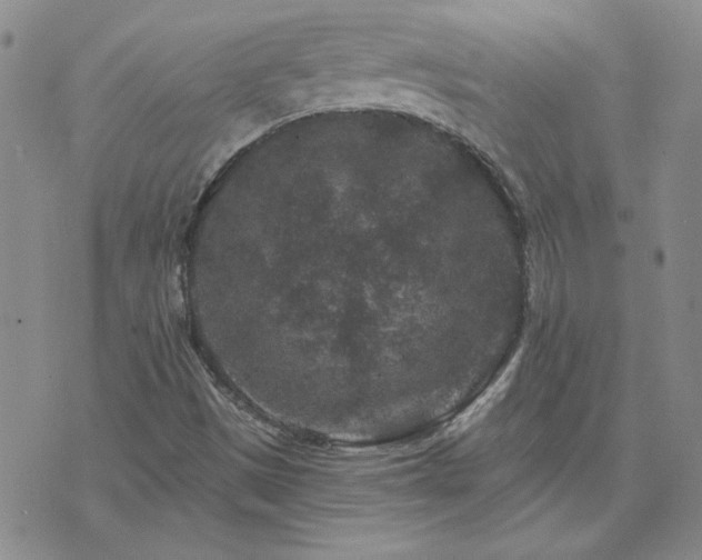 X0000071851497200606301324