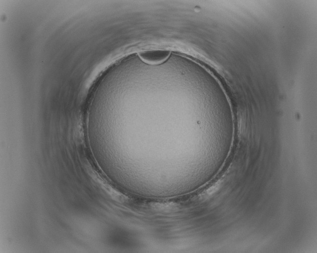 X0000071851498200606301324