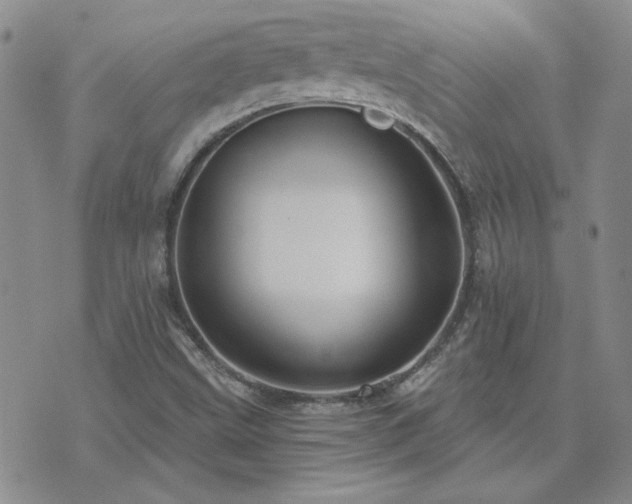 X0000071851499200606301324