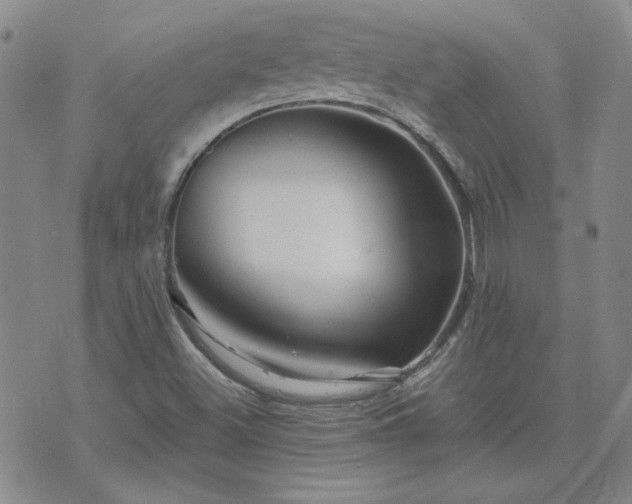 X0000071851500200606301324