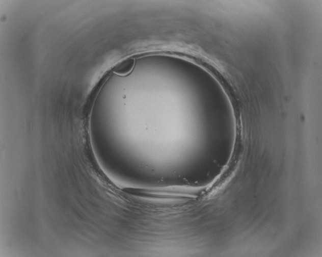 X0000071851501200606301324