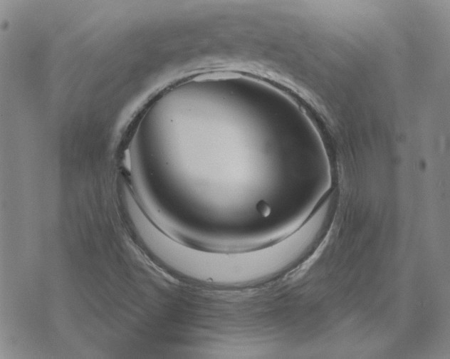 X0000071851502200606301324