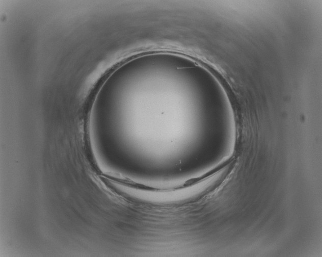 X0000071851503200606301324