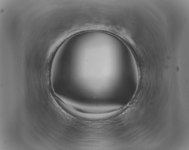 X0000071851504200606301324