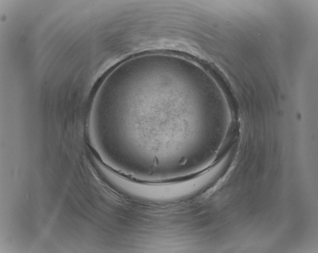 X0000071851505200606301324