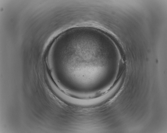 X0000071851506200606301324