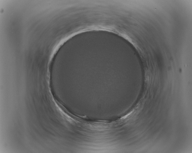 X0000071851508200606301324