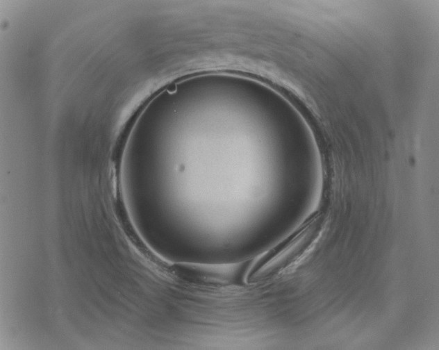 X0000071851509200606301324