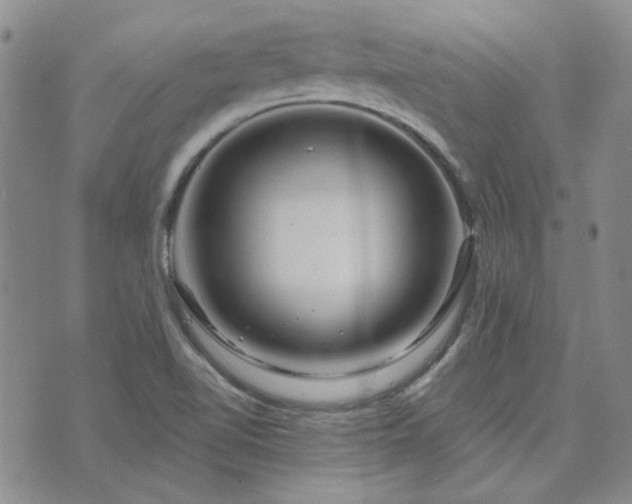 X0000071851510200606301324