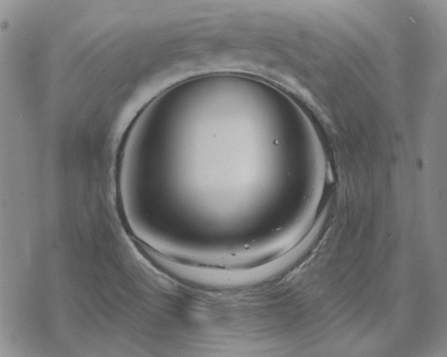 X0000071851512200606301324