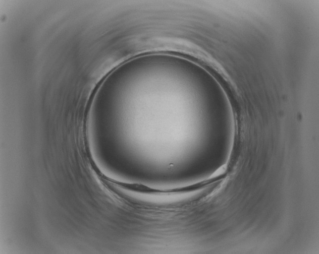 X0000071851513200606301324