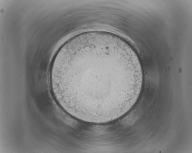 X0000071851514200606301324