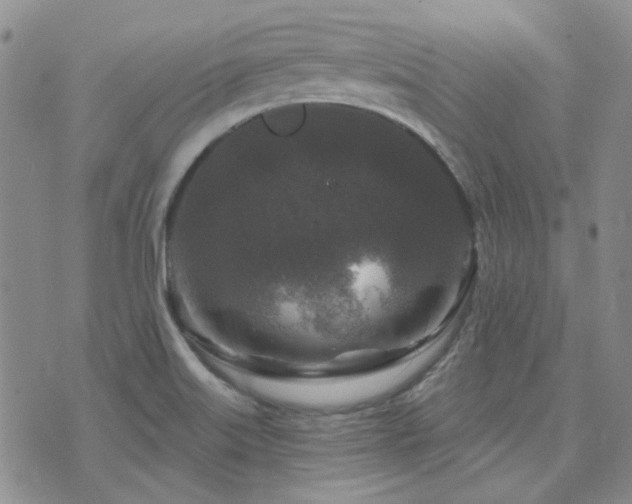 X0000071851515200606301324