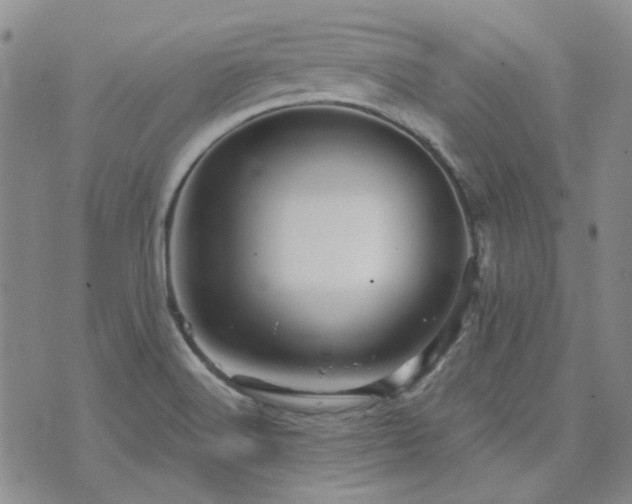 X0000071851516200606301324