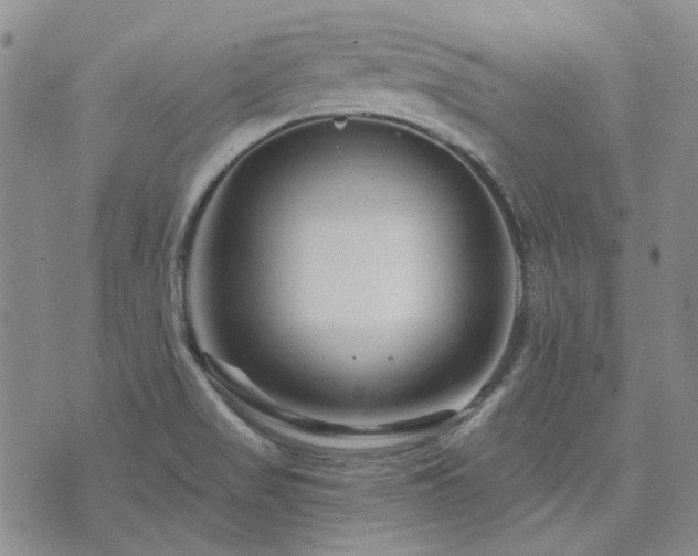 X0000071851517200606301324