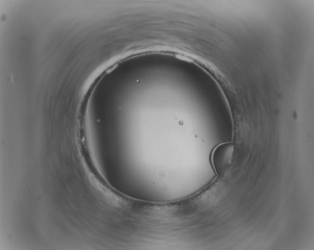 X0000071851518200606301324