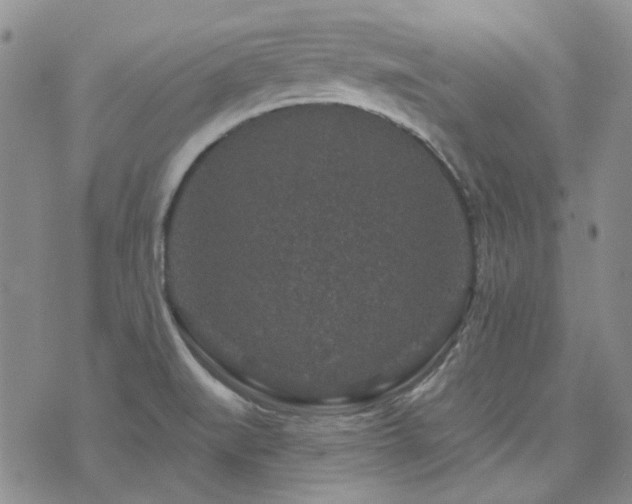 X0000071851519200606301324