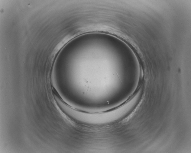 X0000071851521200606301324