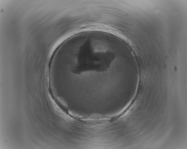 X0000071851522200606301324