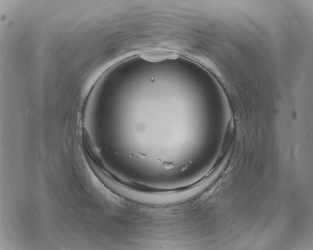 X0000071851524200606301324