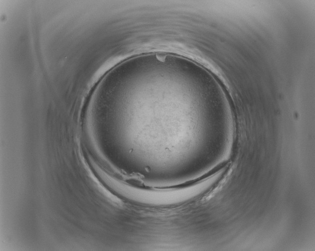 X0000071851525200606301324