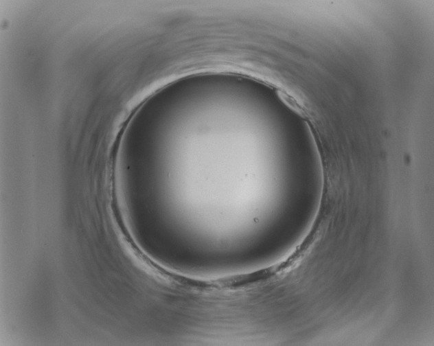 X0000071851526200606301324