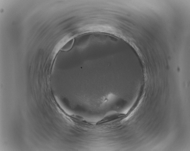 X0000071851529200606301325