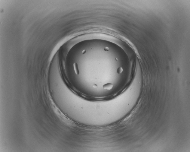 X0000071851530200606301325