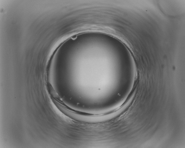 X0000071851531200606301325