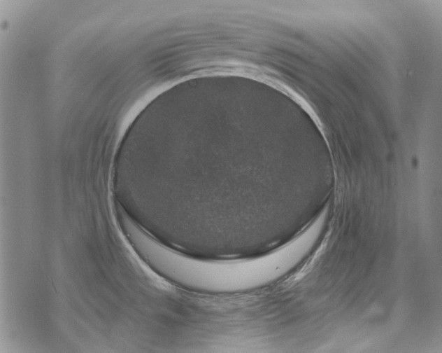 X0000071851533200606301325