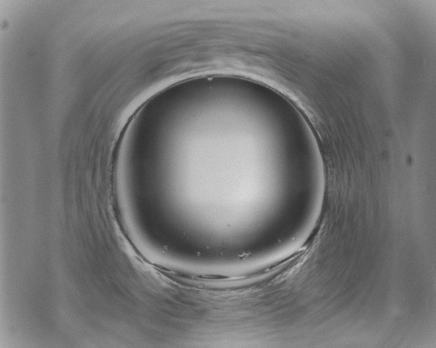 X0000071851534200606301325