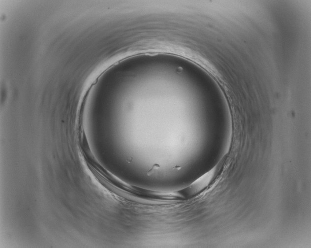 X0000071851536200606301325