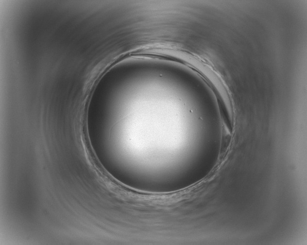 X0000071850001200607072313