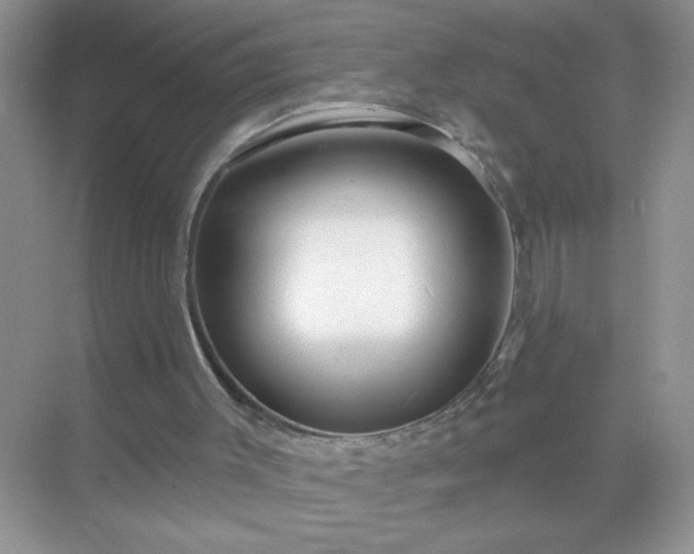 X0000071850003200607072313