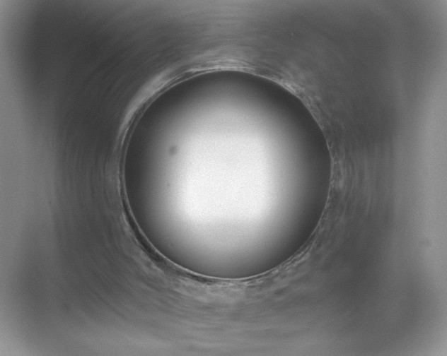 X0000071850004200607072313