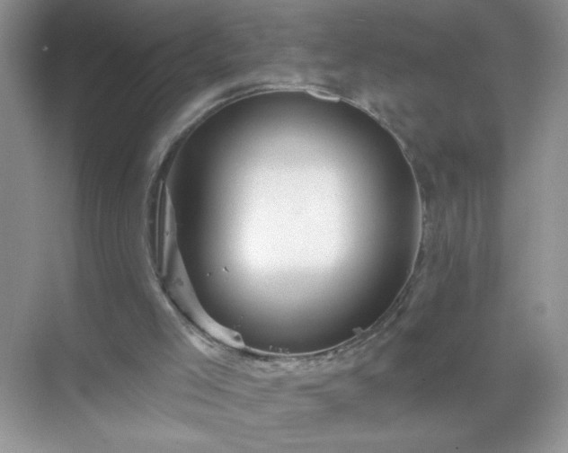 X0000071850005200607072313