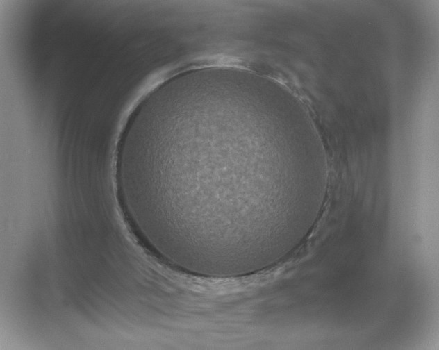 X0000071850006200607072313