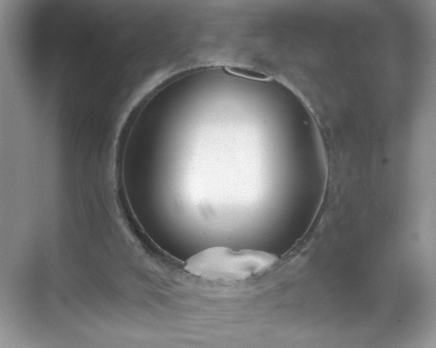 X0000071850008200607072313