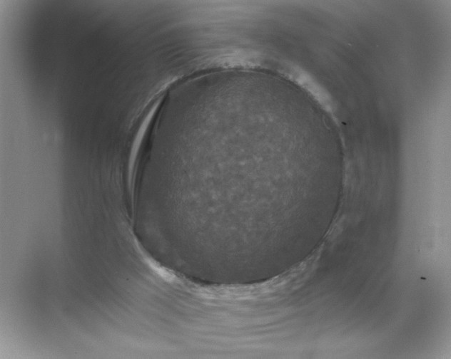 X0000071850009200607072313