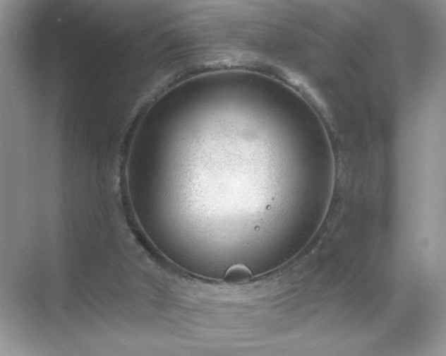 X0000071850010200607072313