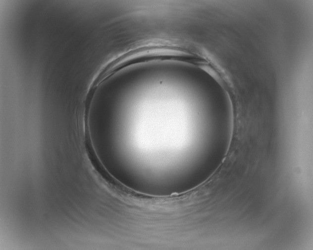 X0000071850011200607072313